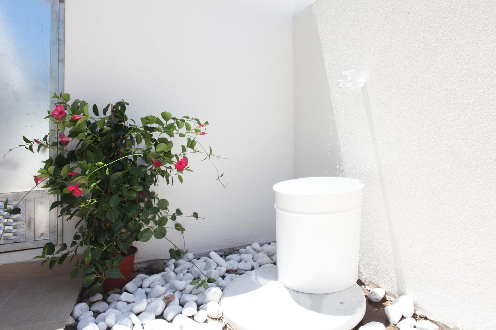 Rivazzurra Design Rooms San Vito Lo Capo Værelse billede