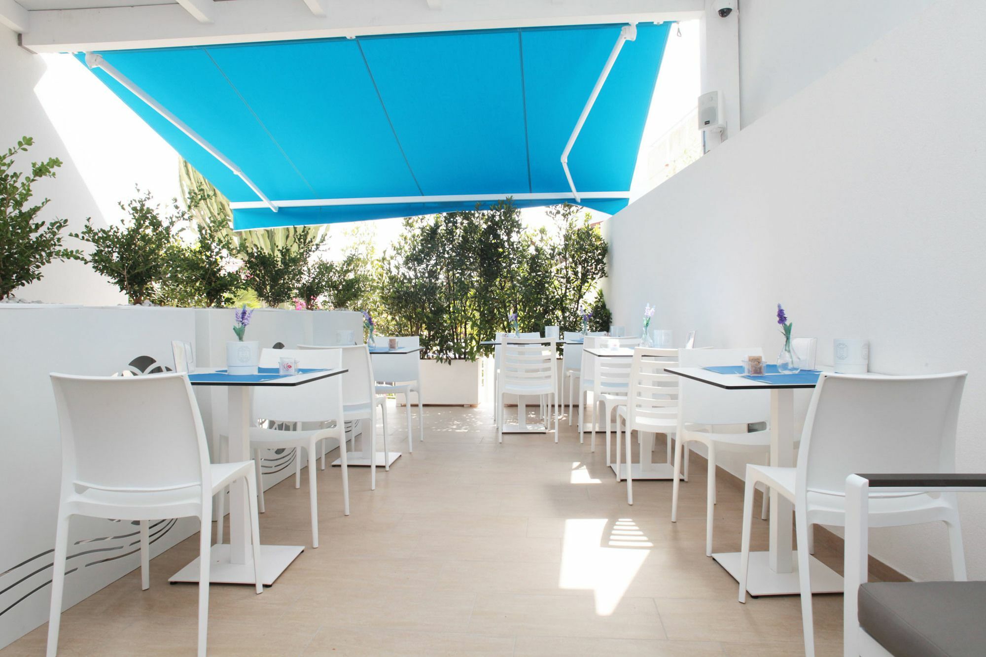 Rivazzurra Design Rooms San Vito Lo Capo Eksteriør billede