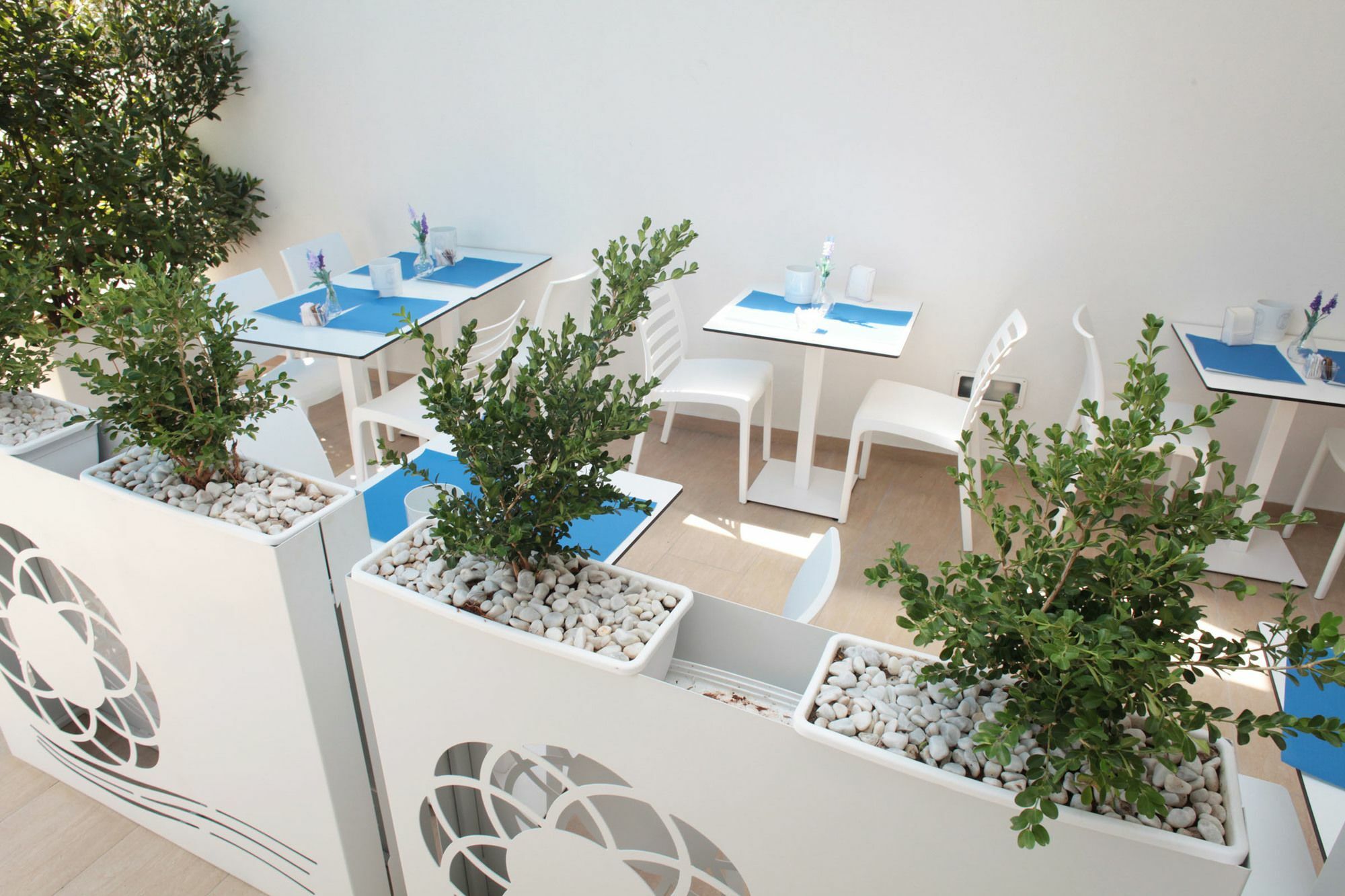 Rivazzurra Design Rooms San Vito Lo Capo Eksteriør billede