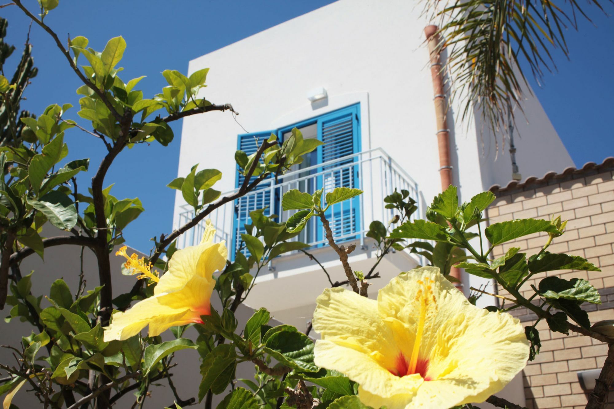 Rivazzurra Design Rooms San Vito Lo Capo Eksteriør billede